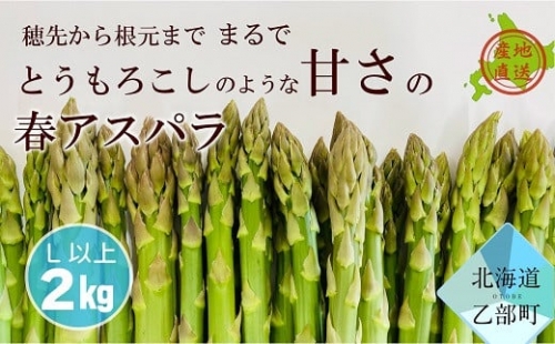 【予約受付中　4月より配送開始】北海道産 春採れグリーンアスパラ 2㎏