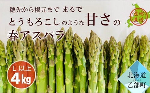 【予約受付中　4月より配送開始】北海道産 春採れグリーンアスパラ 4㎏