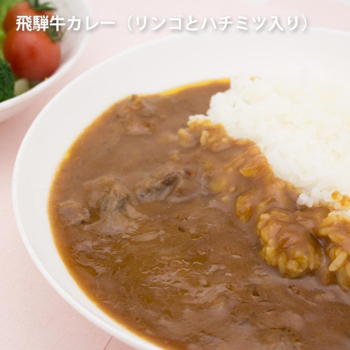 りんごとはちみつ入り飛騨牛カレー　1袋×10　（10食）[C0074pic] 64277 - 岐阜県飛騨市