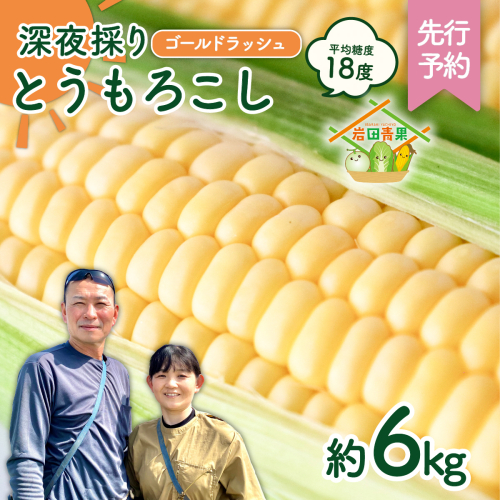 【先行予約 2026年6月中旬以降発送 】 【 令和8年産 】 深夜採り 朝出荷 とうもろこし （ ゴールドラッシュ ） 約 6kg トウモロコシ スイートコーン コーン 野菜 産地直送 期間限定 極甘 岩田さん 昼めし旅 [AX019ya] 643021 - 茨城県八千代町