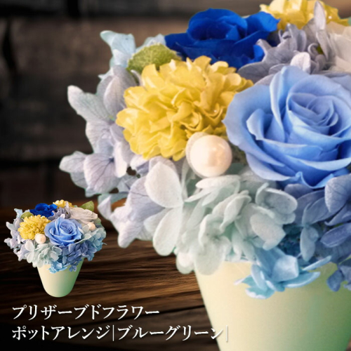 プリザーブドフラワー　ポットアレンジ（ブルーグリーン）【14001601】 643024 - 北海道恵庭市