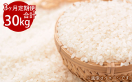 [3ヵ月定期便]3回連続 岡山県倉敷市産 きぬむすめ 10kg 白米 計30kg[2025年10月より1回目発送開始]