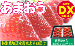 【配送不可地域：北海道・東北・沖縄・離島にはお届けできませんのでご注意ください。】 旬のあまおうを農家から直接お届け！甘い香り、大粒のあまおうの美味しさをお楽しみください。 福岡県特産あまおうの中でも