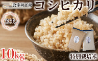 51-D　会津坂下産 特別栽培米　コシヒカリ10kg【玄米】※着日指定不可