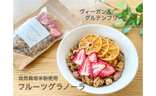 Miri Cafeグラノーラ詰め合わせA 人気 厳選 健康 食事 袋井市 お菓子 有機オートミール 甜菜糖 優しい甘み 米粉使用 グルテンフリー プレーン ココア 煎茶 朝食 おやつ 間食 フルーツグラノーラ ヴィーガン 644236 - 静岡県袋井市