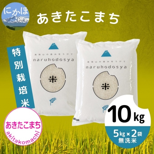 令和4年産 特別栽培米《無洗米》あきたこまち 10kg（5kg×2袋） 644335 - 秋田県にかほ市