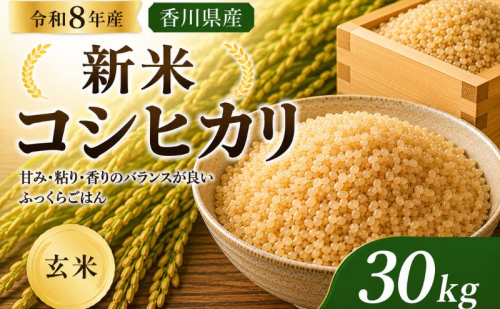 令和8年産新米　香川県産コシヒカリ30kg(玄米) お米 ライス ご飯 ブランド米 銘柄米 お弁当 おにぎり 食卓 産地直送 主食 炭水化物 和食 国産 日本産 エコファーマー認定農家  644458 - 香川県東かがわ市