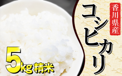 きれいな水で育てた香川県産コシヒカリ5kg（精米） 644460 - 香川県