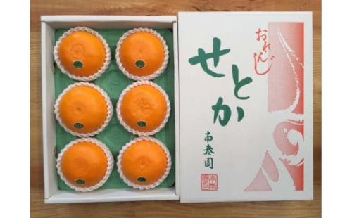 化粧箱 柑橘の大トロ ハウス せとか 厳選 大玉 6玉入 644981 - 和歌山県有田川町