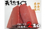 B26-009 神奈川県漁連　天然マグロ 2ｋｇ【お徳用】不揃いサク