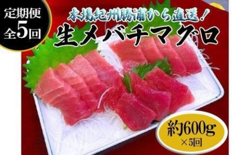【定期便全5回】生まぐろの本場紀州勝浦から直送！　生メバチマグロ 約600g（1カ月に1回お届け）（全5ヵ月） 645205 - 和歌山県那智勝浦町