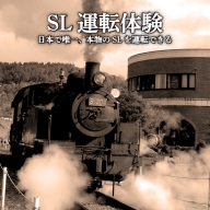 ＳＬ運転体験　＜日本で唯一、本物のSL※1939年日本車輛製蒸気機関車Ｓ−３０４を運転できる＞【寄附使途指定】【13026】