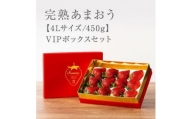 [出荷期間は1月〜4月末]★希少4Lサイズ 450g ★赤のVIPボックスに入った宝石のような「完熟あまおう」!