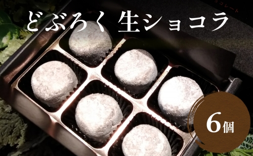 どぶろくの生ショコラ6個入り 645985 - 富山県氷見市