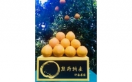 【４月価格改定予定】仲森農園の「完熟　不知火（しらぬい）」　5㎏ 柑橘 みかん 熊野市
