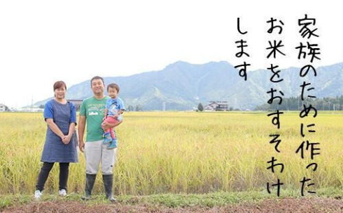 【令和7年産】【定期便】南魚沼産塩沢コシヒカリ【従来品種】精米5kg 全3回　慣行栽培米 646974 - 新潟県南魚沼市