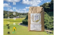 特別栽培米 神戸のまごころ コシヒカリ 玄米　5kg