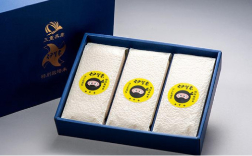 特別栽培米 伊賀米コシヒカリ真空パック セット 6合（900g）×3 647892 - 三重県伊賀市