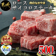 【父の日】宮崎牛ロースサイコロ500g ≪6月15日～18日お届け≫_AC-2519-FG