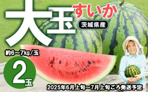 【先行予約】茨城県産大玉すいか2玉セット（約6～7kg/玉）【2025年6月上旬～7月上旬ごろ発送予定】【 スイカ 西瓜 果物 くだもの フルーツ 国産 季節限定 人気 贈り物 お取り寄せ プレゼント 厳選 デザート 】