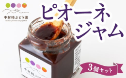 配送時期：通年中村柿ぶどう園のピオーネを使用したジャムです。酢を入れることでに甘すぎず、さっぱりとした味に仕上がりました。パンに、ヨーグルトに、お好みでお召し上がり下さい。ぶどうと柿がない時期にも私た