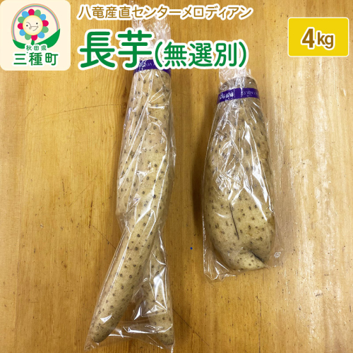 長芋4kg（無選別） 648381 - 秋田県三種町