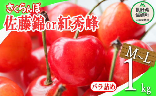 さくらんぼ ＜ M ～ L サイズ ＞ 秀品 1kg バラ詰め （ 佐藤錦 または 紅秀峰 ） 配送先は本州限定 2024年6月中旬〜7月中旬まで順次発送予定 長野県 飯綱町 [0781]