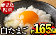 i303 鹿児島県産の白たまご約10kg(約165個・Mサイズ)業務用仕様!養鶏の専門農協で一貫して生産された国産生卵! 業務用 国産 九州産 生卵 卵 たまご 鶏卵 鶏 M玉 TKG 卵焼き 食品 [マルイ食品]