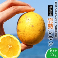 EA6021n_[訳あり・ご家庭用]完熟 レモン 2kg 皮までご使用いただける低農薬栽培!