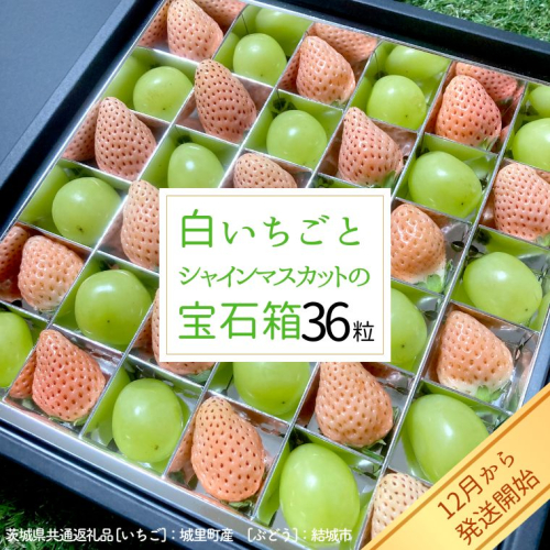 白いちご と シャインマスカット の 宝石箱 36粒 【12月から発送開始】（茨城県共通返礼品 [いちご]：城里町産　[ぶどう]：結城市） 果物 フルーツ いちご イチゴ 白苺 ぶどう マスカット ギフト プレゼント [BI343-NT] 649071 - 茨城県つくばみらい市