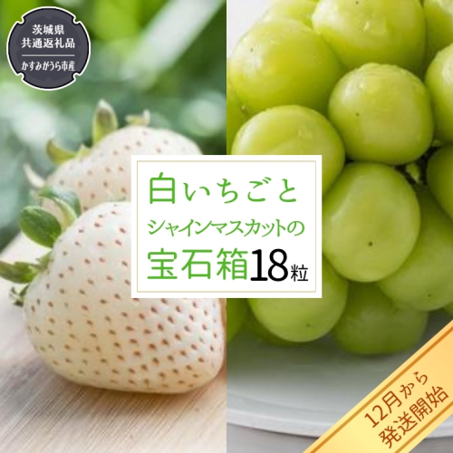 白いちご と シャインマスカット の 宝石箱 18粒 【令和5年12月から