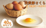 美黄卵さくら 40個（35個＋破損保障5個）（化粧ケース入り）【配送不可：沖縄・離島】鶏卵 たまご