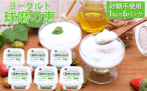 球磨の恵ヨーグルト 1kg×6パック（砂糖不使用） 乳製品  64922 - 熊本県錦町