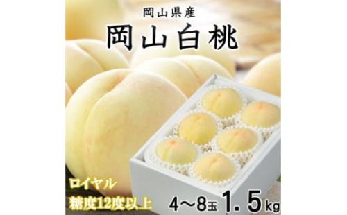＜先行受付＞岡山白桃 ロイヤル 4～8玉 1.5kg 岡山県産【1305698】