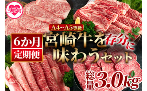 ＜【定期便6か月】宮崎牛を存分に味わうセット 総量3.0kg＞ A4 A5 柔らかくきめ細かい肉質と適度な霜降りの入った美味しい牛肉でステーキ、すき焼き、焼肉、BBQをご堪能下さい！【MI231-nh】【日本ハムマーケティング株式会社】