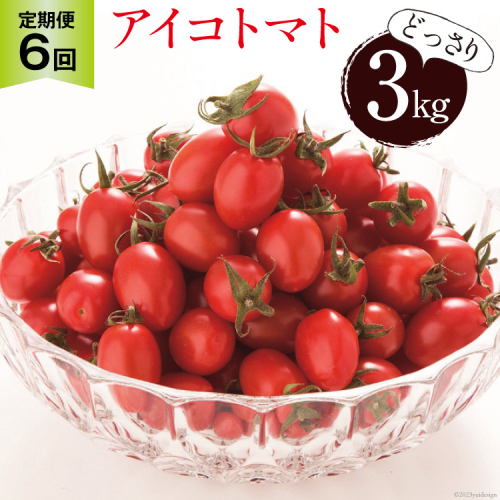 BG139【6回定期便】全国にファンがいる高級フルーツトマト アイコ どっさり！3kg 649413 - 長崎県島原市