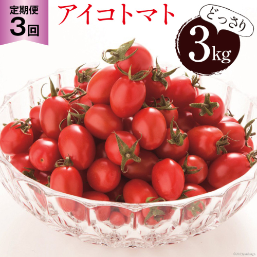 BG138【3回定期便】全国にファンがいる高級フルーツトマト アイコ どっさり！3kg 649415 - 長崎県島原市