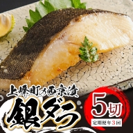 【定期便年3回】熟練の味 西京漬け(銀ダラ) 5切 M-43