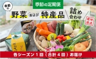 【季節の定期便】季節の野菜及び特産品詰め合わせ
