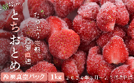 【緊急支援品/2024年3月より発送】完熟朝摘みとれたての冷凍いちご　とちおとめ　約1㎏（500g×2パック）　農家直送の冷凍苺を真空パックでお届け
