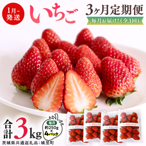 【 定期便 】 合計3kgお届け いちご の3ヶ月連続お届け便 （1回：250g×4パック）×3回 【1月から発送開始】（茨城県共通返礼品 [いちご]：城里町産） 果物 フルーツ イチゴ 苺 白いちご 白苺 とちおとめ 白いちご 紅ほっぺ やよいひめ 定期便 [BI346-NT] 650770 - 茨城県つくばみらい市