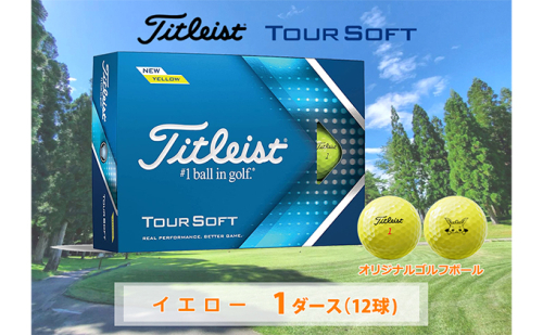 ゴルフボール タイトリスト 1ダース ツアーソフト イエロー ゴルフ用品 スポーツ用品 池田町 オリジナルモデル 650772 - 岐阜県池田町