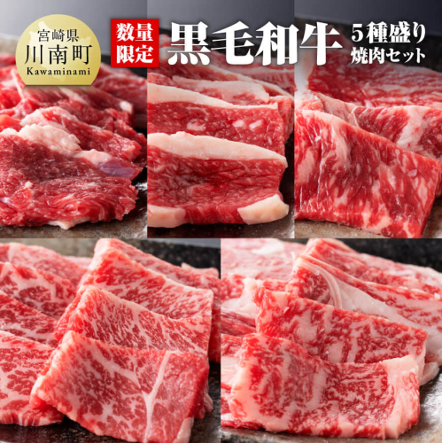 黒毛和牛5種盛り 焼肉セット（数量限定）300g 【 肉 牛肉 国産 宮崎県産 黒毛和牛 ミヤチク BBQ バーベキュー 送料無料 】 650834 - 宮崎県川南町