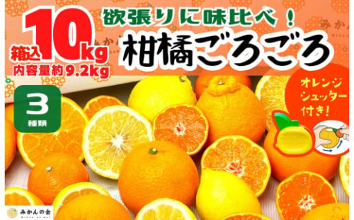 旬の柑橘食べ比べ 柑橘ごろごろ 3種 箱込 10kg(内容量約 9.2kg) 秀品 優品 混合 和歌山県産 産地直送 【おまけ付き】【みかんの会】 651374 - 和歌山県有田川町