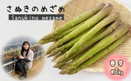 アスパラガス アスパラ さぬき のめざめ 春芽 約 1kg 香川県 オリジナル品種