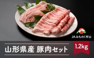 山形県産 豚肉 セット ロース バラ 各600g 計1.2kg ja-bnstx12