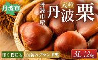 丹波栗 3L 2kg 兵庫県丹波市産 大粒 甘み濃厚 秋の味覚 国産 栗 農家直送