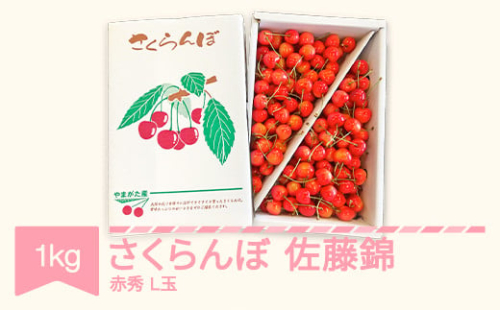 先行予約 さくらんぼ 佐藤錦 赤秀 L玉 1kg バラ詰 ご家庭用 2025年産 令和7年産 山形県産 mm-snalx1000