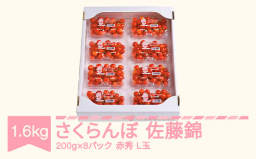 先行予約 さくらんぼ 佐藤錦 赤秀品 L玉 200g×8パック ご家庭用 2025年産 令和7年産 山形県産 mm-snplx1600