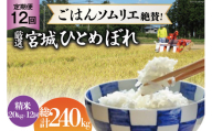 米 『定期便』厳選宮城ひとめぼれ 精米20kg 全12回 [菅原商店 宮城県 加美町44580977]